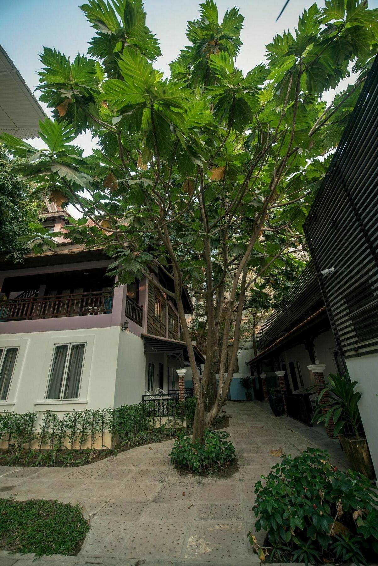 Lavender Angkor Boutique Hotel Siem Reap Exterior foto